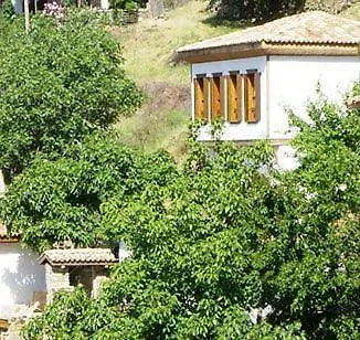 Terrace Houses Sirince - Fig, Olive And Grapevine Hotel