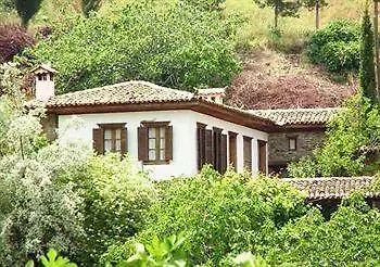 Terrace Houses Sirince - Fig, Olive And Grapevine Turkey