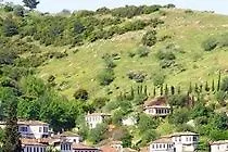 Terrace Houses Sirince - Fig, Olive And Grapevine