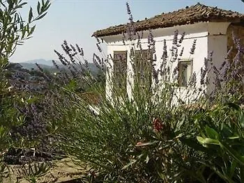 Hotel Terrace Houses Sirince - Fig, Olive And Grapevine