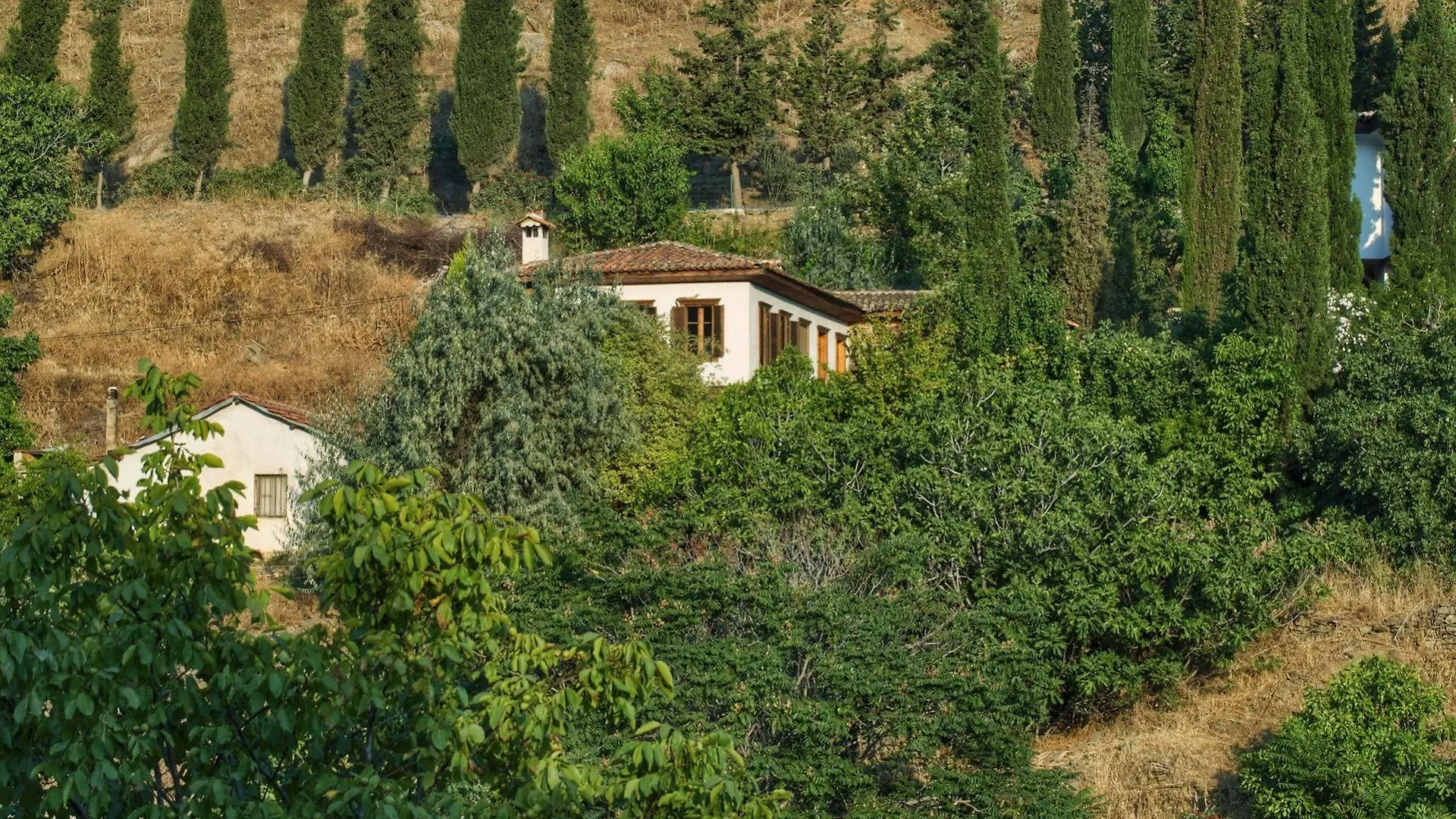 Hotel Terrace Houses Sirince - Fig, Olive And Grapevine