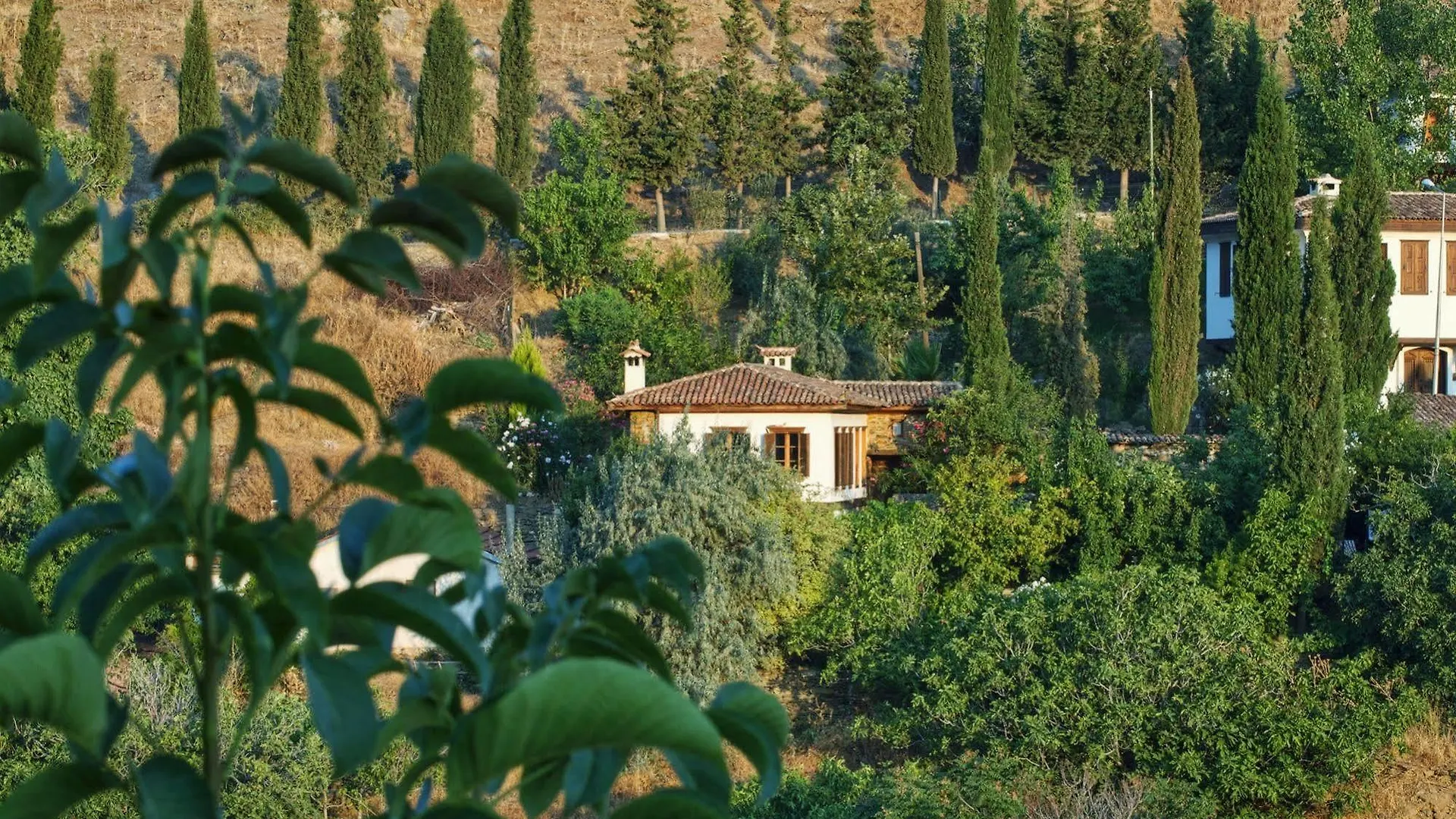 Terrace Houses Sirince - Fig, Olive And Grapevine Hotel