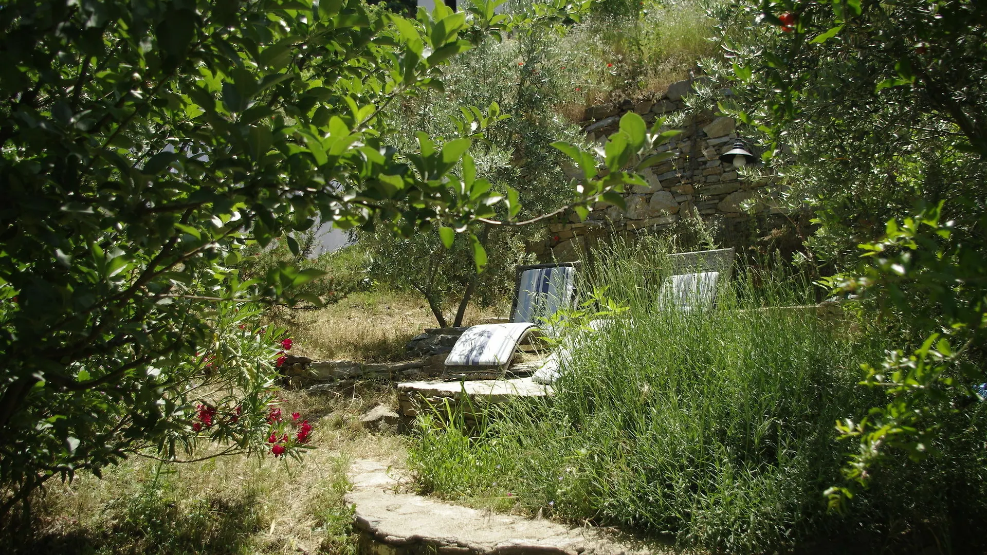 Terrace Houses Sirince - Fig, Olive And Grapevine